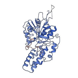 42061_8uae_H_v1-0
E. coli Sir2_HerA complex (12:6) with ATPgamaS