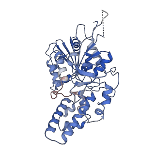 42061_8uae_H_v1-1
E. coli Sir2_HerA complex (12:6) with ATPgamaS