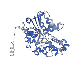 42061_8uae_I_v1-0
E. coli Sir2_HerA complex (12:6) with ATPgamaS