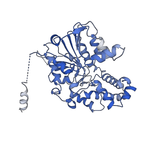 42061_8uae_I_v1-1
E. coli Sir2_HerA complex (12:6) with ATPgamaS