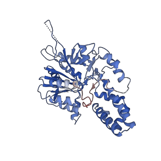 42061_8uae_J_v1-0
E. coli Sir2_HerA complex (12:6) with ATPgamaS
