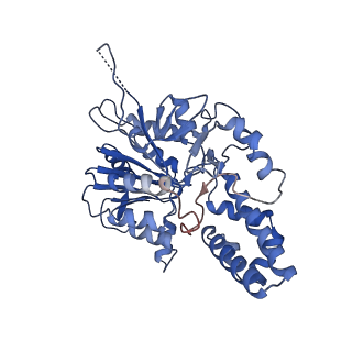 42061_8uae_J_v1-1
E. coli Sir2_HerA complex (12:6) with ATPgamaS