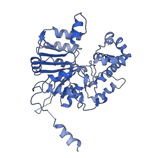 42061_8uae_K_v1-0
E. coli Sir2_HerA complex (12:6) with ATPgamaS