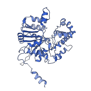 42061_8uae_K_v1-1
E. coli Sir2_HerA complex (12:6) with ATPgamaS