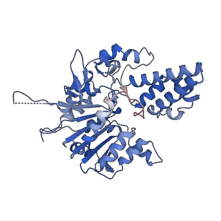 42061_8uae_L_v1-0
E. coli Sir2_HerA complex (12:6) with ATPgamaS
