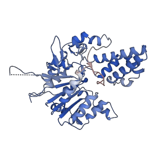 42061_8uae_L_v1-1
E. coli Sir2_HerA complex (12:6) with ATPgamaS