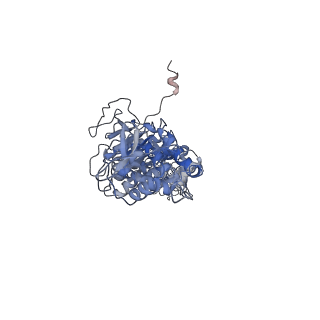 42061_8uae_M_v1-0
E. coli Sir2_HerA complex (12:6) with ATPgamaS