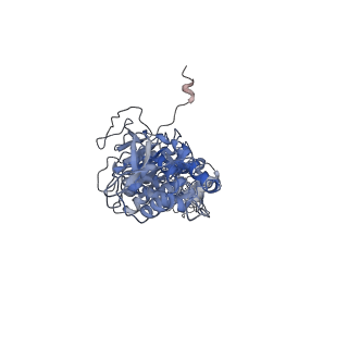 42061_8uae_M_v1-1
E. coli Sir2_HerA complex (12:6) with ATPgamaS