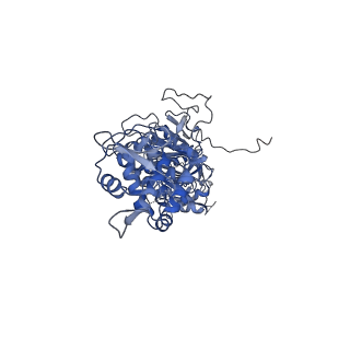 42061_8uae_N_v1-0
E. coli Sir2_HerA complex (12:6) with ATPgamaS