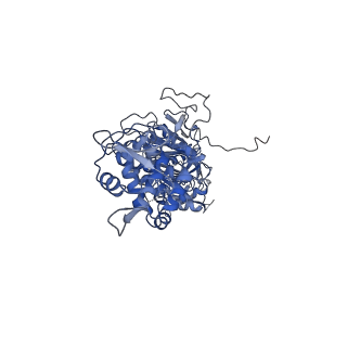 42061_8uae_N_v1-1
E. coli Sir2_HerA complex (12:6) with ATPgamaS