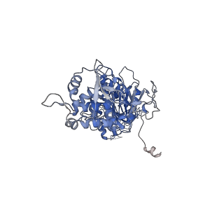 42061_8uae_O_v1-0
E. coli Sir2_HerA complex (12:6) with ATPgamaS