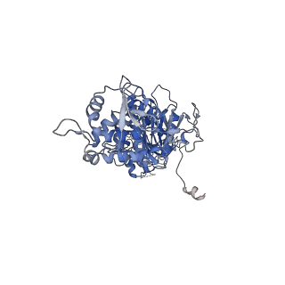 42061_8uae_O_v1-1
E. coli Sir2_HerA complex (12:6) with ATPgamaS