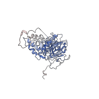 42061_8uae_P_v1-0
E. coli Sir2_HerA complex (12:6) with ATPgamaS
