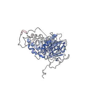 42061_8uae_P_v1-1
E. coli Sir2_HerA complex (12:6) with ATPgamaS