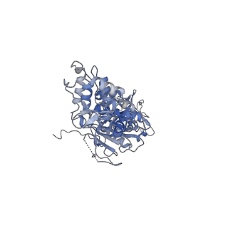 42061_8uae_Q_v1-0
E. coli Sir2_HerA complex (12:6) with ATPgamaS