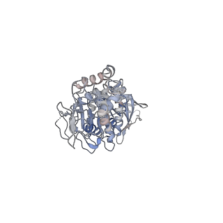 42061_8uae_R_v1-0
E. coli Sir2_HerA complex (12:6) with ATPgamaS