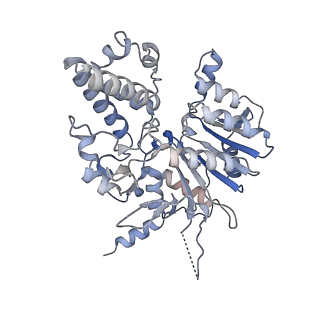 42062_8uaf_A_v1-1
E. coli Sir2_HerA complex (12:6) bound with NAD+