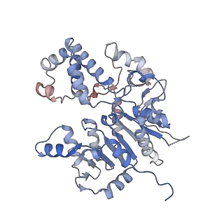 42062_8uaf_B_v1-0
E. coli Sir2_HerA complex (12:6) bound with NAD+