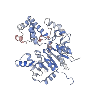 42062_8uaf_B_v1-1
E. coli Sir2_HerA complex (12:6) bound with NAD+