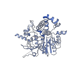 42062_8uaf_C_v1-0
E. coli Sir2_HerA complex (12:6) bound with NAD+