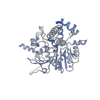 42062_8uaf_C_v1-1
E. coli Sir2_HerA complex (12:6) bound with NAD+