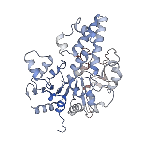 42062_8uaf_D_v1-0
E. coli Sir2_HerA complex (12:6) bound with NAD+