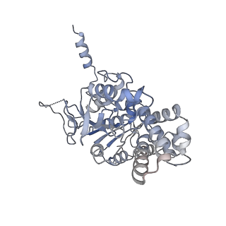 42062_8uaf_E_v1-0
E. coli Sir2_HerA complex (12:6) bound with NAD+