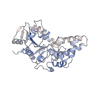 42062_8uaf_F_v1-1
E. coli Sir2_HerA complex (12:6) bound with NAD+