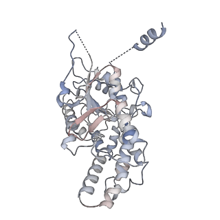 42062_8uaf_G_v1-0
E. coli Sir2_HerA complex (12:6) bound with NAD+