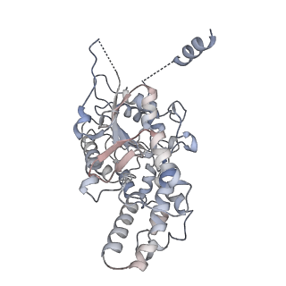 42062_8uaf_G_v1-1
E. coli Sir2_HerA complex (12:6) bound with NAD+