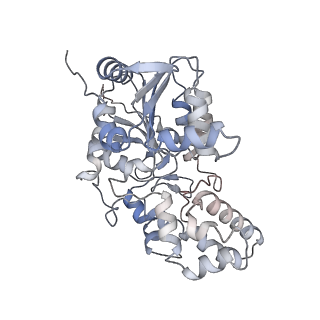 42062_8uaf_H_v1-0
E. coli Sir2_HerA complex (12:6) bound with NAD+