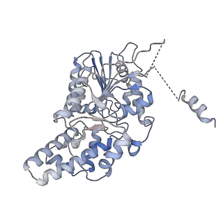 42062_8uaf_I_v1-0
E. coli Sir2_HerA complex (12:6) bound with NAD+