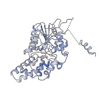 42062_8uaf_I_v1-1
E. coli Sir2_HerA complex (12:6) bound with NAD+