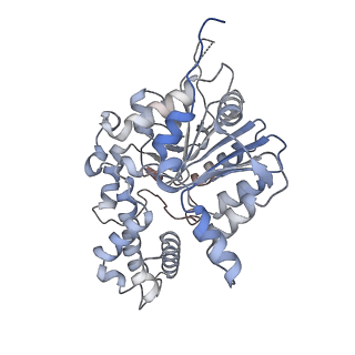 42062_8uaf_J_v1-0
E. coli Sir2_HerA complex (12:6) bound with NAD+