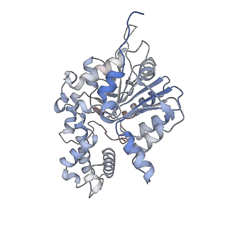 42062_8uaf_J_v1-1
E. coli Sir2_HerA complex (12:6) bound with NAD+