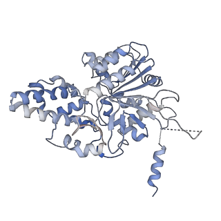 42062_8uaf_K_v1-0
E. coli Sir2_HerA complex (12:6) bound with NAD+