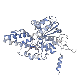 42062_8uaf_K_v1-1
E. coli Sir2_HerA complex (12:6) bound with NAD+