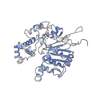 42062_8uaf_L_v1-0
E. coli Sir2_HerA complex (12:6) bound with NAD+