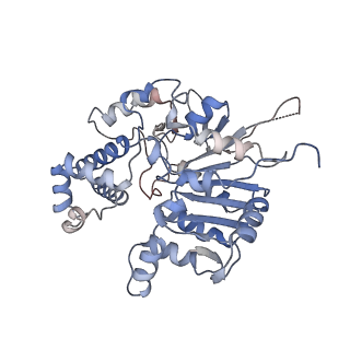 42062_8uaf_L_v1-1
E. coli Sir2_HerA complex (12:6) bound with NAD+