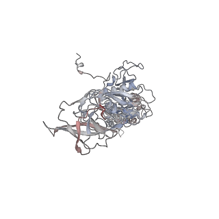 42062_8uaf_M_v1-0
E. coli Sir2_HerA complex (12:6) bound with NAD+