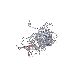 42062_8uaf_M_v1-1
E. coli Sir2_HerA complex (12:6) bound with NAD+