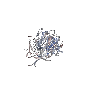 42062_8uaf_N_v1-0
E. coli Sir2_HerA complex (12:6) bound with NAD+