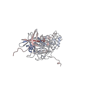 42062_8uaf_P_v1-1
E. coli Sir2_HerA complex (12:6) bound with NAD+