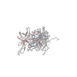 42062_8uaf_Q_v1-0
E. coli Sir2_HerA complex (12:6) bound with NAD+