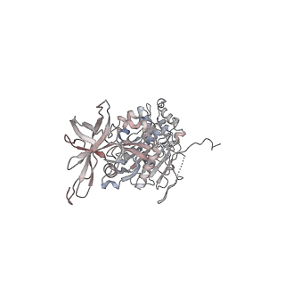 42062_8uaf_Q_v1-1
E. coli Sir2_HerA complex (12:6) bound with NAD+