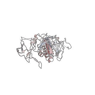 42062_8uaf_R_v1-0
E. coli Sir2_HerA complex (12:6) bound with NAD+