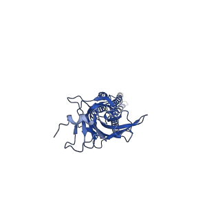 20714_6ubs_B_v1-1
Full length Glycine receptor reconstituted in lipid nanodisc in Apo/Resting conformation