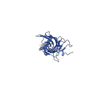 20714_6ubs_D_v1-1
Full length Glycine receptor reconstituted in lipid nanodisc in Apo/Resting conformation