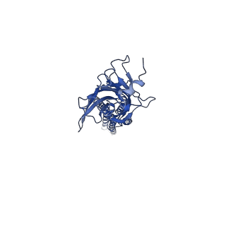 20714_6ubs_E_v1-1
Full length Glycine receptor reconstituted in lipid nanodisc in Apo/Resting conformation