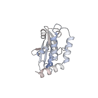 26434_7ub2_E_v1-1
Structure of RecT protein from Listeria innoccua phage A118 in complex with 83-mer annealed duplex